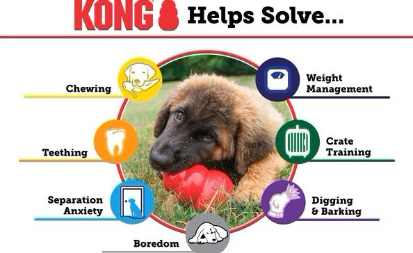 KONG Classic Dog Toy, Large