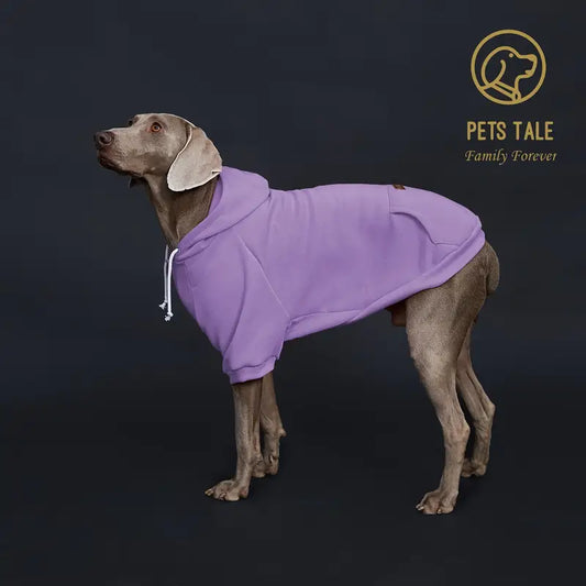 PETS TALE Classic Dog Hoodie
