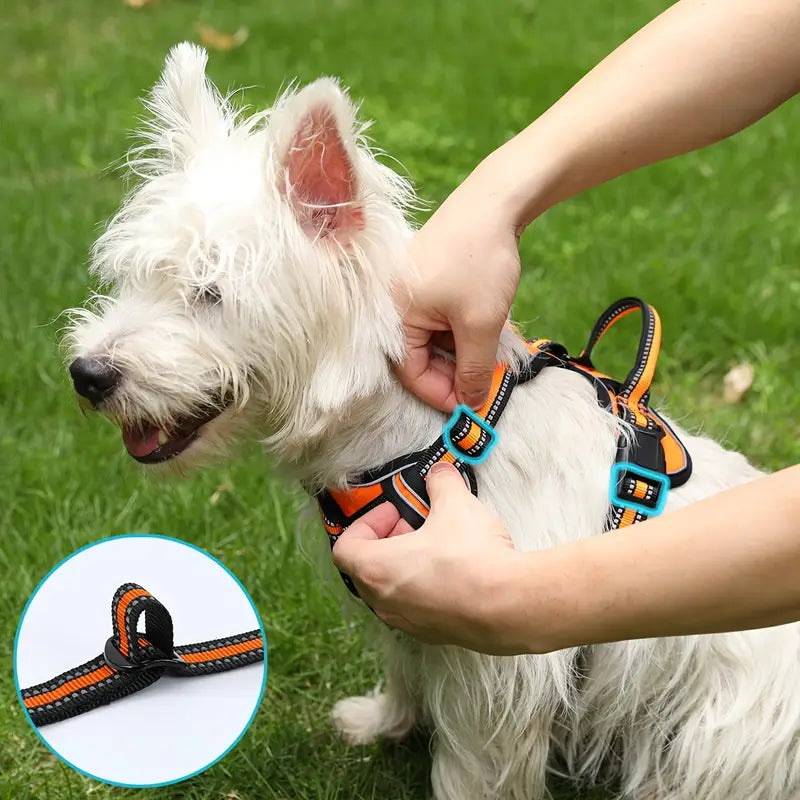 Reflective No-Pull Harness